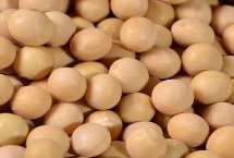 大豆品種主要有哪些，分為青大豆、黃大豆、黑大豆等