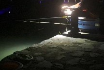 秋天夜釣比白天好釣嗎，取決于魚(yú)情、釣法、環(huán)境