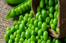 豌豆怎么貯藏，放在冰箱中可延長保質(zhì)期
