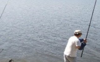 鯉魚漂相，每個(gè)魚種漂相不一樣