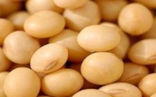 邯豆24大豆栽培技術(shù)要點，每隔7~10天防治1次