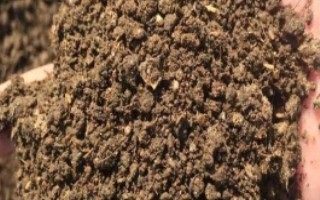 生物有機(jī)肥和化肥的對(duì)比，前者本身含有多種養(yǎng)分、后者通過(guò)微生物的生命活動(dòng)產(chǎn)生肥效