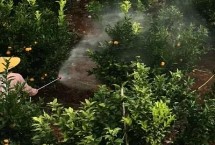 炔螨特在什么溫度使用，需要做好防護(hù)措施