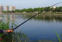 長(zhǎng)竿短線釣怎么選釣具，淺水可釣適應(yīng)性強(qiáng)調(diào)漂簡(jiǎn)單