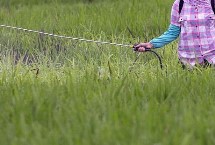 氯青菊脂能在家里噴嗎，藥效時間長不適合在家噴