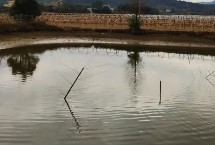 建房裝修的模板租售以及人造板出售，看準(zhǔn)市場再投資