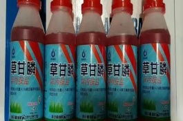 除草劑的危害，常見的有草甘膦、百草枯和草銨膦