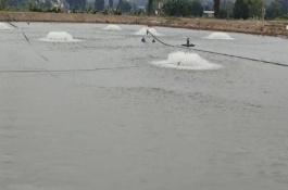 有哪些魚(yú)塘增氧機(jī)，為了避免水面結(jié)冰每天可開(kāi)機(jī)2次左右