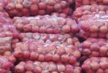 將蘋(píng)果貯藏在零下6℃的環(huán)境中是否會(huì)凍壞，溫度過(guò)低會(huì)破壞細(xì)胞結(jié)構(gòu)