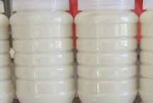 為什么油菜花蜂蜜會結(jié)晶，葡萄糖含量相對較高而極易結(jié)晶