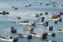 舟山漁場建在上升流還是下降流，寒流與暖流交匯魚群較為集中