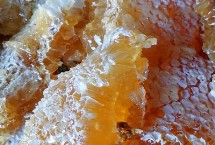 蜂蜜涂臉后要不要洗掉，變干后的蜂蜜容易吸收皮膚水分