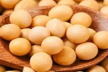 華夏10號大豆栽培技術(shù)要點，低肥力地塊6萬株