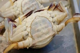 梭子蟹何時最肥美，此時最為肥美