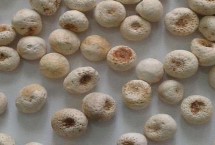 形態(tài)特征，多年生草本植物