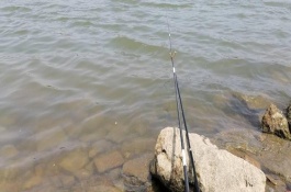 釣魚走水用小漂還是大漂，垂釣時要注意以下4點