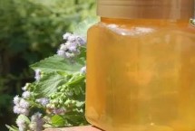 百花蜜和枇杷蜜的區(qū)別，色澤和口感均不同