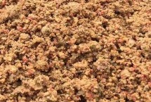 散炮餌料適合野釣嗎，可以但也要分情況調(diào)整使用方法