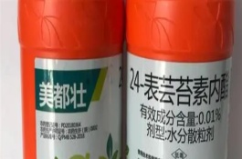蕓苔素內(nèi)酯使用注意事項(xiàng)，宜在上午11點(diǎn)左右使用