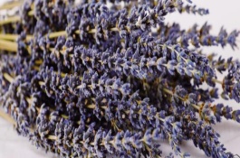 薰衣草可以活幾年，一般能達(dá)到3-6個月