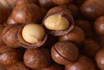 夏威夷果中國能種植嗎，以食用為主是世界上最好的桌上堅(jiān)果之一