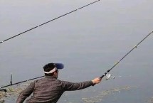 輕麩釣魚(yú)的正確用法，野釣不適合用輕麩