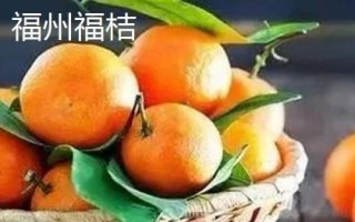 福建省福州市的水果特產(chǎn)有哪些，包括青山龍眼、一都枇杷、福州橄欖等種類