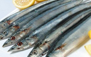 刀魚介紹，屬于鳀科、鱭屬、刀鱭種魚類