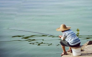 臺釣鯽魚子線要多長，根據(jù)魚情、季節(jié)、釣法等決定