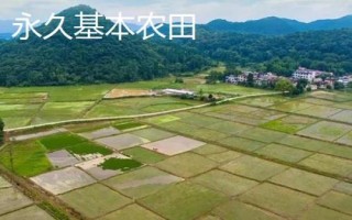 永久基本農(nóng)田和基本農(nóng)田的區(qū)別，屬性和用途均不同