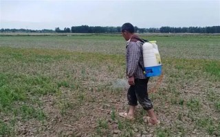 冬季打農(nóng)藥要注意什么，在晴天高溫時(shí)段用藥效果更好
