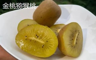 獼猴桃的名字由來，是受到獼猴的喜愛