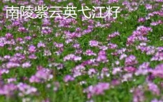 安徽南陵縣的特產(chǎn)，所產(chǎn)大米批準(zhǔn)為國家地理標(biāo)志保護(hù)產(chǎn)品