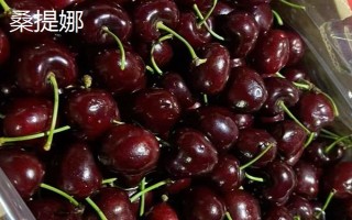 車厘子的品種介紹，常見的有金車車厘子、紅燈、美早等