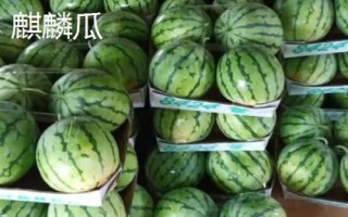 如何挑選好吃又甜的西瓜，表皮光滑、紋路清晰的西瓜口感通常較好