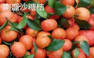 廣東省云安的特產(chǎn)，種桑養(yǎng)蠶歷史悠久