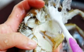 螃蟹的清洗方法，因種類、做法等不同而不同