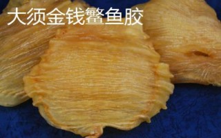 什么品種的花膠比較好，常見的有金錢鰲魚膠、大須金錢鳘魚膠等