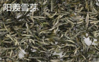 江蘇宜興的特產(chǎn)，宜興烏米飯是標志性的旅游特產(chǎn)
