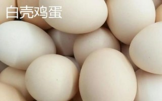 白殼雞蛋和紅殼雞蛋有什么區(qū)別，主要差異在于顏色不同