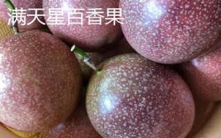 常見的百香果品種介紹，主產(chǎn)地區(qū)不一