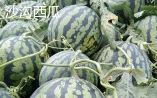 安徽省長豐縣的特產(chǎn)，下塘燒餅深受消費者喜愛