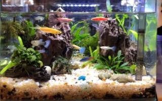 魚缸怎樣保持弱酸性水，可以給魚缸充氧
