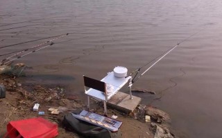 釣白條魚可以用什么餌料，腥餌還是香餌效果都很不錯(cuò)