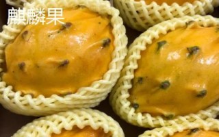 火參果是什么季節(jié)的水果，是夏秋季節(jié)的水果