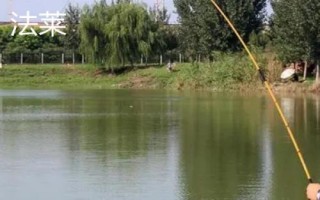 傳統(tǒng)釣魚(yú)竿品牌推薦，主要有溪流竿和炮竿兩大類(lèi)