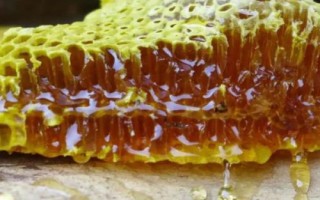 哪種蜂蜜才算比較好，由蜜蜂釀制成熟的自然蜜就是好蜂蜜