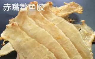 什么品種的花膠比較好，常見的有金錢鰲魚膠、大須金錢鳘魚膠等