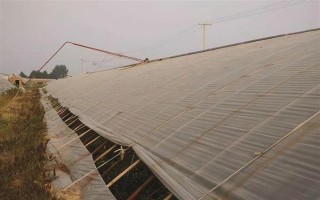 大棚的放風(fēng)方法，根據(jù)天氣狀況控制放風(fēng)口的寬度