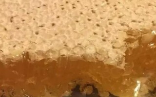 挖蜂巢蜜為什么要用木勺，可防止其受污染